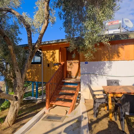 Apartment Bluesea -mercan